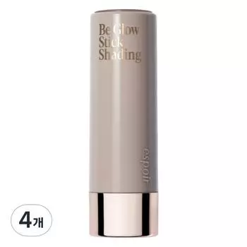 Espoir Bigelow Stick Shading 9 г, 4 шт., нет. 1 Нейтральный серый