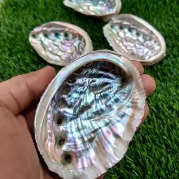 Естественная мульти блестящая чаша для размазывания раковины морского ушка, неполированная раковина для размазывания морского ушка, размер 3–4 дюйма. 1 Piece Shell Bowl