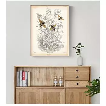 Естественное образование, настенная живопись на холсте, репродукция картины, биологический принт, Декор для фермерского дома, винтажные принты с насекомыми, пчелами и пчелами 21cm30cm NoFrame