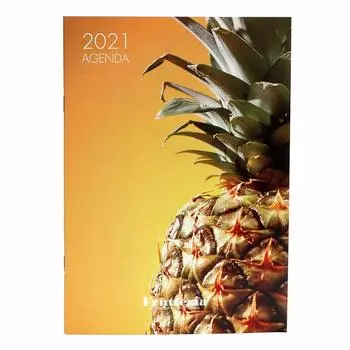 Etranger di Costa Rica FRUTTERIA Month Diary Note 2021 A5 Pineapple Starting December 2020 0101-DMD-F3-02