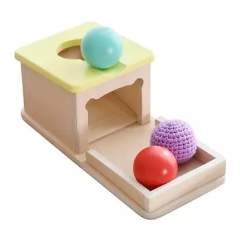 Etucdose Object Permanent Box Educational Toys Montessori Baby Toys 0 1 2 3 Years Old Wooden Toys 1 2 3 Years Old Birthday Gift Color Classification 1