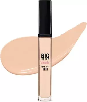 ETUDE Big Cover Fit Concealer Neutral Peach Concealer Cover Acne Scars Bear 1 piece [Etude Official] / / / / (x 1)
