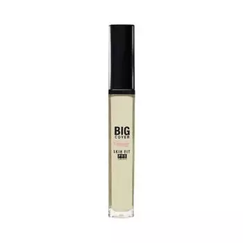 Etude Big Cover Skin Fit Concealer Pro 7g Neutral Mint, Neutral Mint, 1 ea