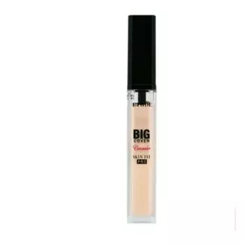 Etude Big Cover Skin Fit Concealer Pro Sand
