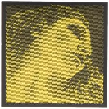 EVAH PIRAZZI GOLD Eva Pirazzi Gold Violin String Set string string loop (G золото) (Конец Е) золотой