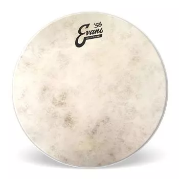 EVANS Evans drum head `56 Calftone Tom TT12C7 12 inch []