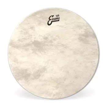 EVANS Evans drum head Calftone Bass BD20CT 20 inch []