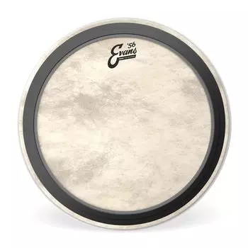 EVANS Evans drum head EMAD Calftone Tom Hoop TT16EMADCT 16 inch []
