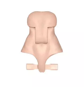 EVE DOLL Nymph30 Natural Scale PVC POM ABS Magnet Replacement Waist Parts [Moveable] 1/6 & & &