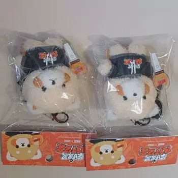 Everland Everrise Wonbin Keyring Photocard Set Riize Wonbin