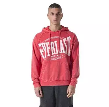 Everlast Washed худи M
