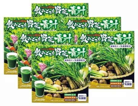 Everlife Vegetable Green Juice 180 пакетов x 6 Содержит молочнокислые бактерии (30 коробок)