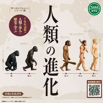Evolution of Humanity Types Set Gacha Gacha Gacha Capsule Toy [5 (Full Complete)]