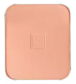 Ex Beaute Vision Foundation Fine Cover Powder Beige Ocher 01 (Refill) чистый