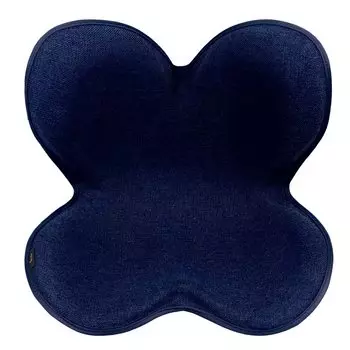 Exclusive Style Standard MTG MTG Navy Posture Correction Pelvic Support Chair Hunchback holder Exclusive [Amazon Color] (Chair (F01), [Amazon Color]