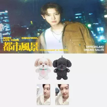 EXO 2024 CHANYEOL Live Tour Кукла City-scape 10 см TOBEN ver.
