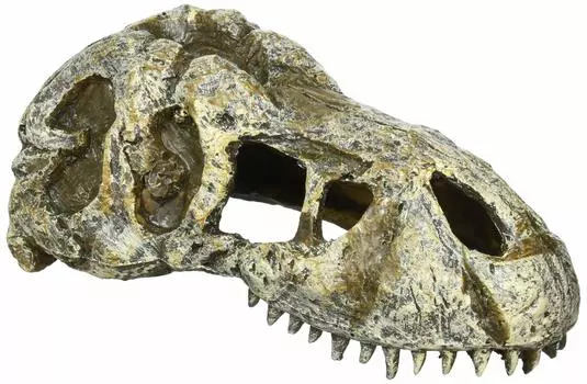 Exoterra GEX EXOTERRA Skull S PT2860 Reptile Shelter Ornament Hideout Basking Spot W15 x D7 x H6cm T-REX