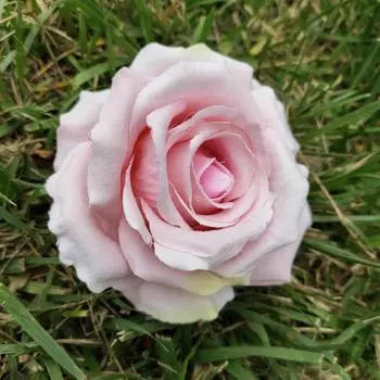 Fabric Silk Rose Heads For Wedding Arch Decorations Outdoor Floral Arrangements Light Pink