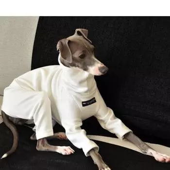Fahison Whippet Italian Greyhound Clothing Роскошные хлопковые пижамы для собак Зимняя теплая водолазка Эластичная одежда для домашних животных S 3-4KG