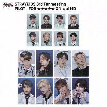 Фан-встреча Stray Kids PILOT. Официальная фотокарточка для удостоверения личности доктора медицинских наук. Changbin - ID Photo