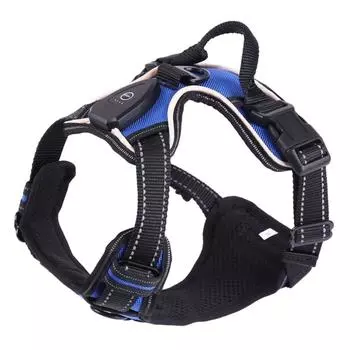 Fashion Dogs Harness Leash Adjustable Length Pet Chest Back LED Dog Vest with Sturdy Buckle for Pet Outdoor Walking S розы красного