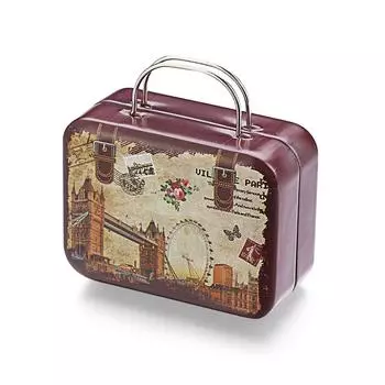 Fashion Steel High Quality Eyelash Package False Eyelashes Box Suitcase Mink Lash Tray