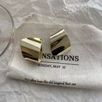Fashion Wind Exaggerated Glossy Geometric Advanced Texture Silver Needle Gold Pair