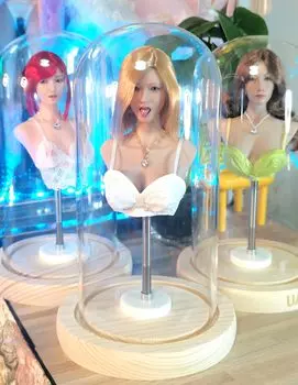 FASHIONUANDO Маленький бюст для масштабного действия Окрашенная грудь Прозрачный чехол Роскошный женский бюст Голова Подставка для красивой красивой средней школы и одежды
