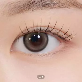 Фасоль Кристина Один день Сырая Браун -3.50