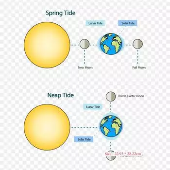 Фаза Луны Вызывает Весеннее Лунное Затмение Перигейное Весеннее Термотрансферная Печать Виниловые Нашивки Наклейки для Одежды DIY Аппликации Моющиеся Нашивки