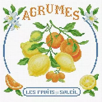 FE# Частичная вышивка египетской хлопковой нитью 14CT Напечатанная еда вышивка крестом 5371