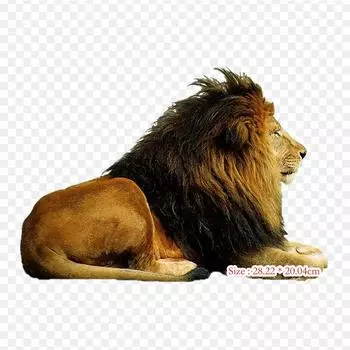 Felidae восточноафриканский лев, термопереносная печать, виниловые нашивки, наклейки для одежды, аппликации «сделай сам», моющиеся нашивки