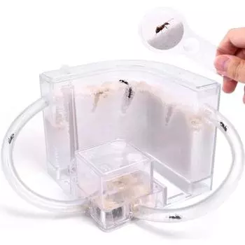 Ферма песчаных муравьев с соединительными трубками, среда обитания, образовательный и обучающий научный набор, игрушка для детей, позволяющая изучать поведение муравьев в экосистеме, исследуйте мир белый