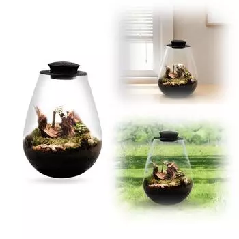 Fern Moss Micro-Landscape Grow Light 6500K Desktop Miniature Plant Light LED Full Spectrum Growing Lamp for Indoor Plant Growth