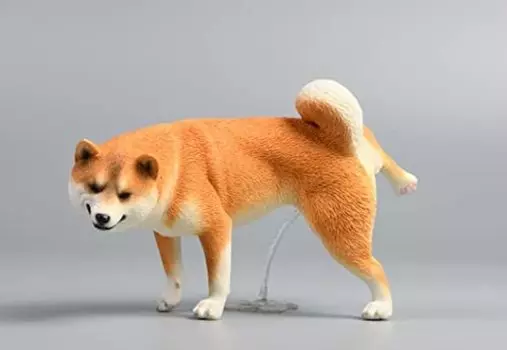 figure JXK studio JXK054C Japanese Shiba Inu [TOYBARJAPAN] 1/6