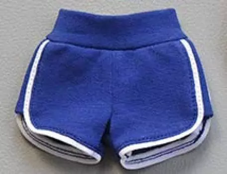 Figure School Girl Beauty 2023 Blue Gym Wear Sports Shorts Pants [TOYBARJAPAN] 1/6 Accessories/High синий