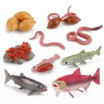 Figurines Earthworm Simulation Insect Salmon Growth Cycle Model Octopus Realistic Life Cycle 1