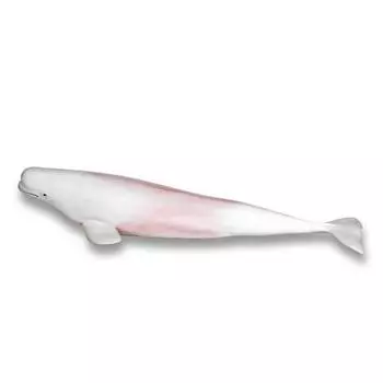Фигурка Bandi Beluga, популярная игрушка в Корее