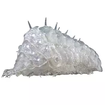 фигурка Навсикая из Долины Ветров Омуши прозрачный АБС ПВХ окрашенный готовый продукт фигурка в стиле Такея отдельно стоящая немасштабируемая и