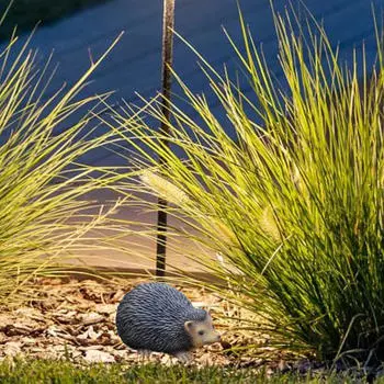 Фигурка животного, запасной держатель для ключей, украшение для газона на случай чрезвычайных ситуаций, отделение для хранения смолы Frog