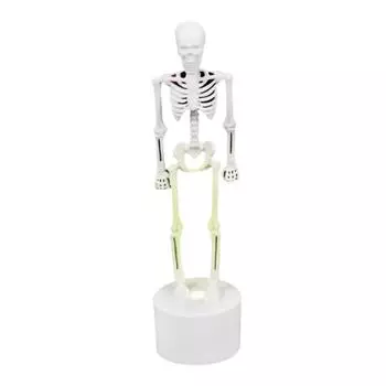 Фигурки на Хэллоуин добавят очарования дому благодаря уникальному стилю. Коллекционные фигурки. Трофей. белый