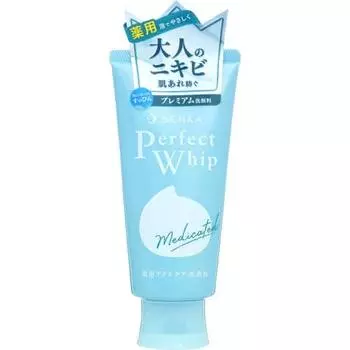 Fine Today Shiseido Face Wash Specialty Perfect Whip Acne Care 120G