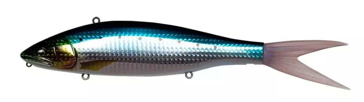 Fish Arrow Seabass Lure VT Jack 210 Sardine VT-JACK #09