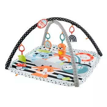 Fisher Price Cultivate your Sea захватывающий музыкальный тренажер HBP41 чувства! выдра [Рождение (0 месяцев) ~]
