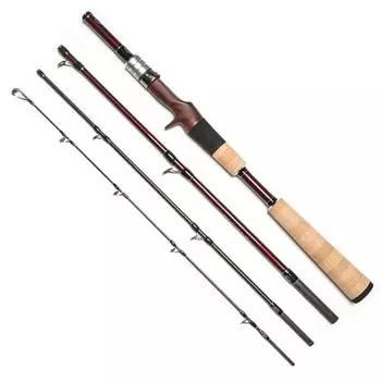 Fishman BRISTCompact FBC4LH510 B.C.4 5.10LH красный