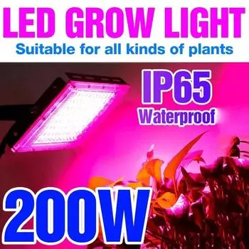 Фитолампа для растений Ac220V 50W 100W 200W 300W Полный спектр светодиодных ламп для выращивания растений УФ-свет для теплиц Гидропонные семена цветов
