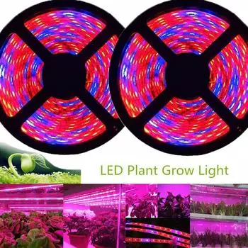 Фитосветодиодный светильник для выращивания растений, 5 м, 12 В, полный спектр, светодиодная лента для выращивания диодов, лампа 5050, светодиодная лента для растений, фитолампа, IP65, гибкий аквариум 4M&Not Waterproof&Only Strip