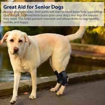 Фиксатор для задней лапы собаки для скакательного сустава, компрессионный бандаж для голеностопного сустава при травмах передней крестообразной связки, растяжениях, артрите S