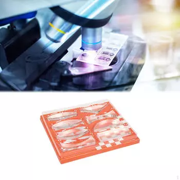 Физическая модель отражения и преломления света Оптическая параллельная линза Выпуклая физика