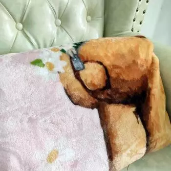 Фланелевое одеяло с рисунком плюшевого мишки: Уютное одеяло для детей с кондиционером и сонным одеялом 120x150 cm